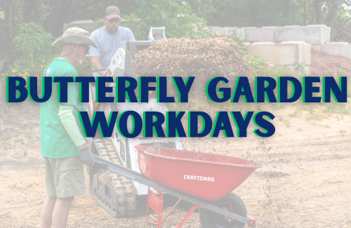 Butterfly Garden Workdays