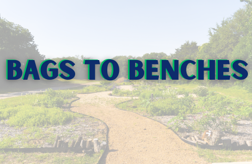 Bags to Benches