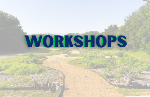 KCB Education & Workshops