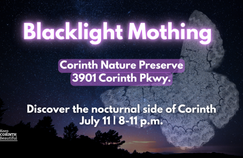 Blacklight Mothing