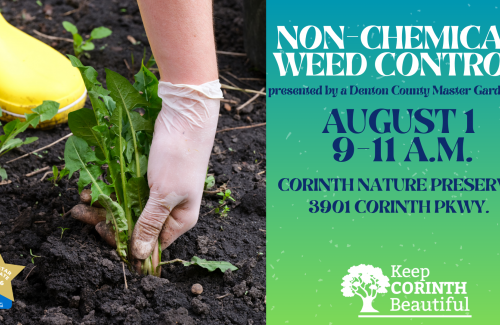 Non-Chemical Weed Control Workshop