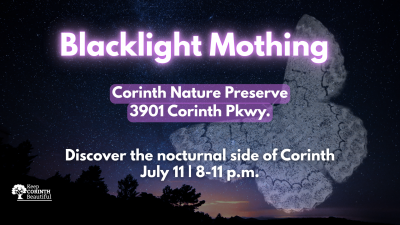 Blacklight Mothing