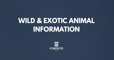 wild & exotic animal