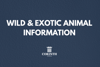 wild & exotic animal